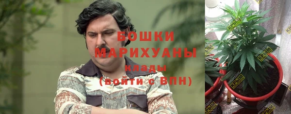 не бодяженный Ладушкин