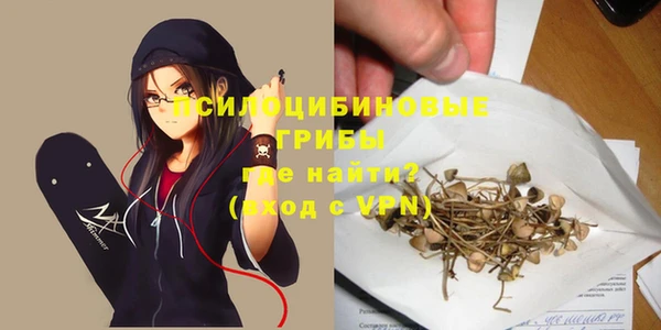 скорость Лагань