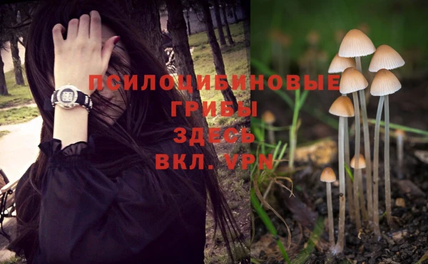 не бодяженный Ладушкин