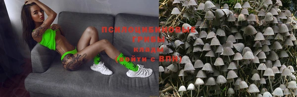 не бодяженный Ладушкин