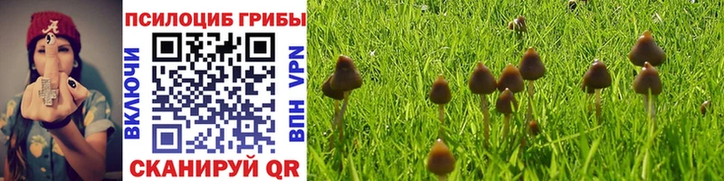 наркотики Ангарск Галлюциногенные грибы Psilocybe