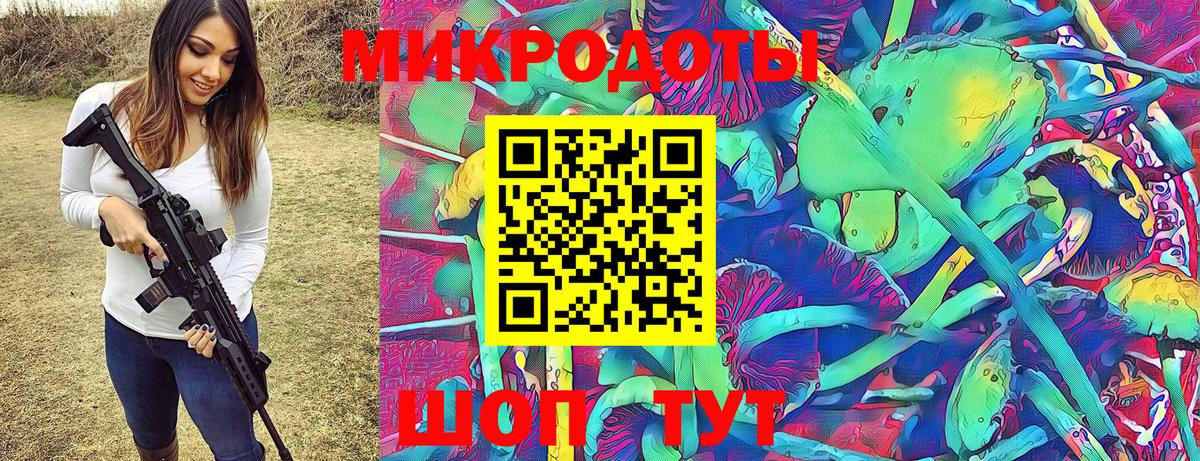 Псилоцибиновые грибы Psilocybe Ангарск